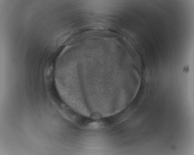 X0000113630364200910091601