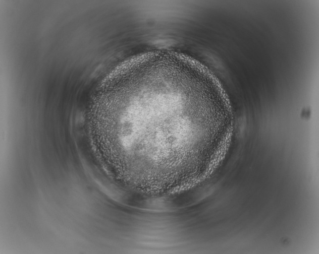 X0000113630365200910091601