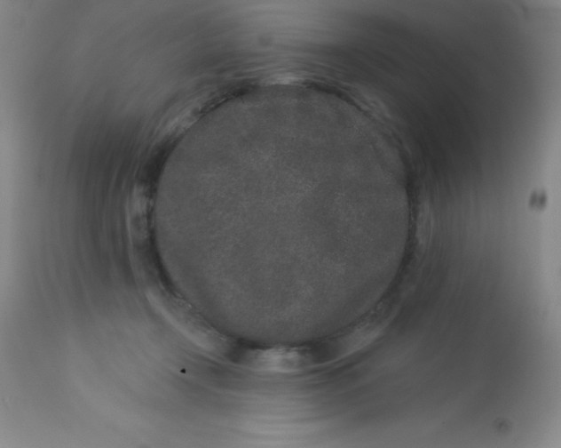 X0000113630366200910091601