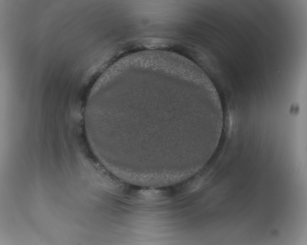 X0000113630367200910091601