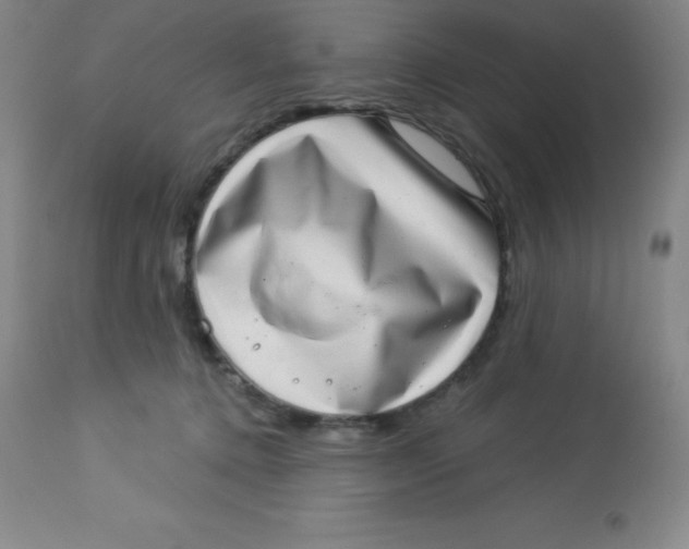 X0000113630368200910091601