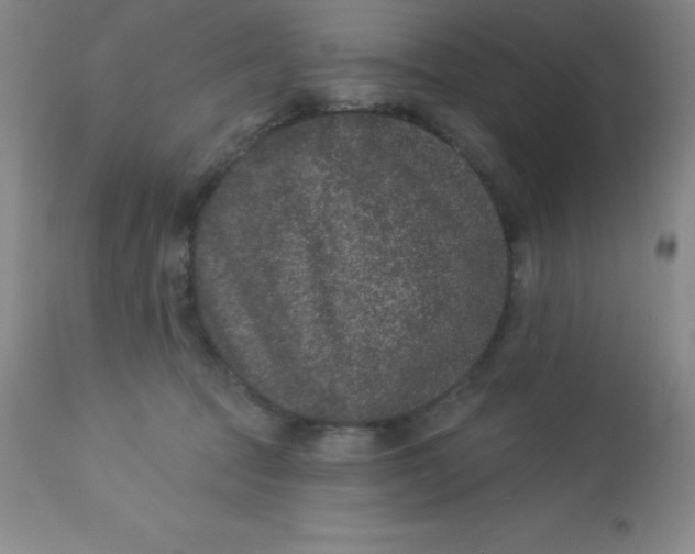 X0000113630369200910091601