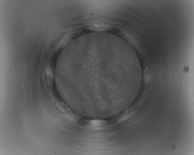 X0000113630371200910091601