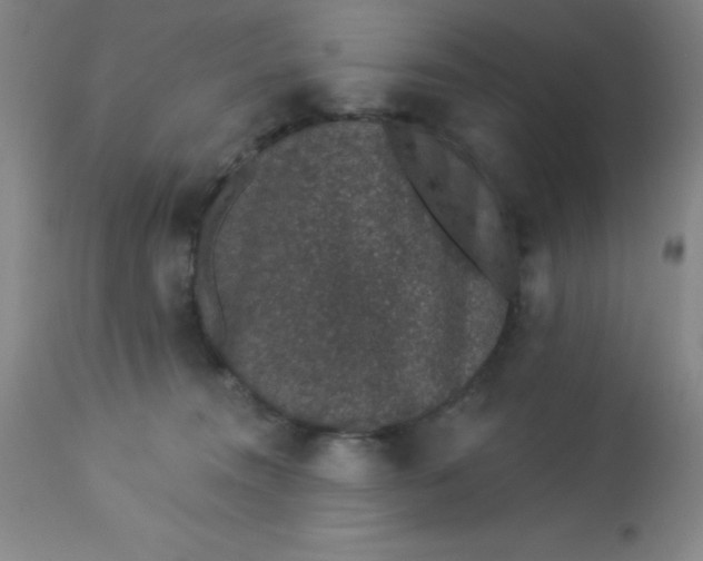 X0000113630372200910091601