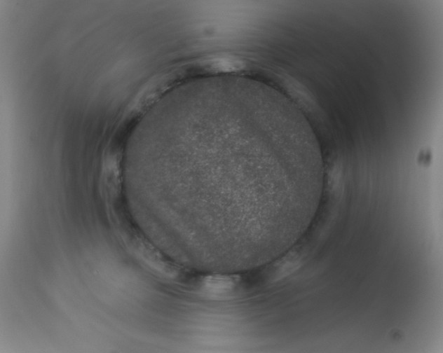 X0000113630373200910091601