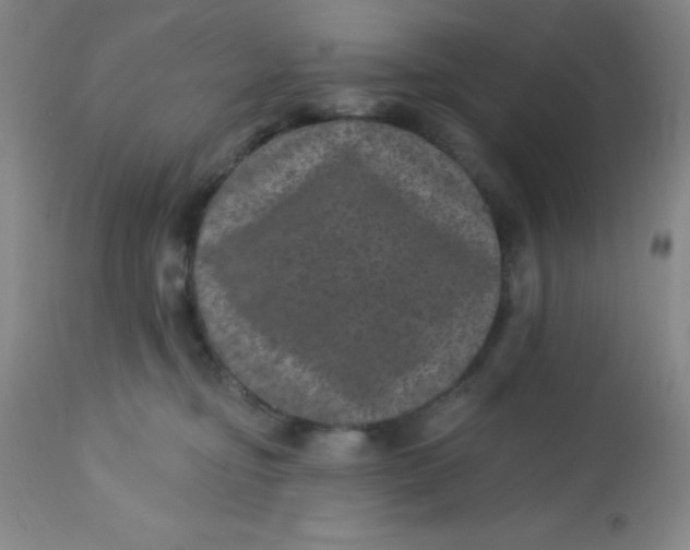 X0000113630374200910091601