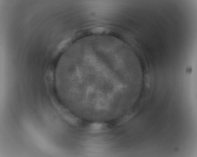 X0000113630375200910091601