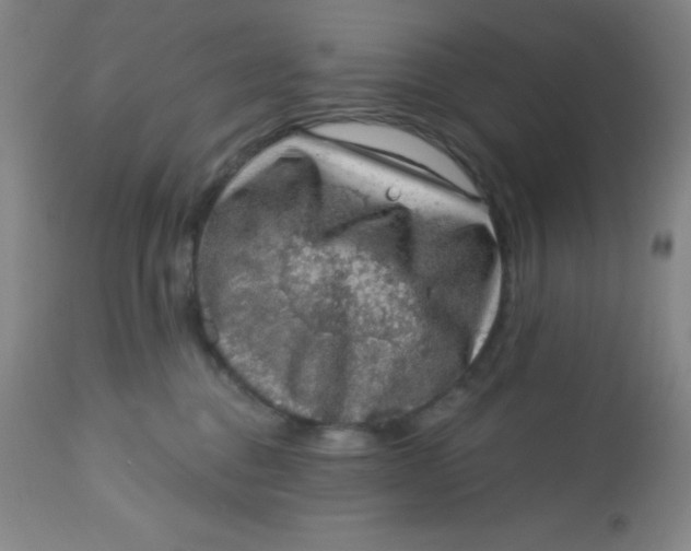 X0000113630376200910091601