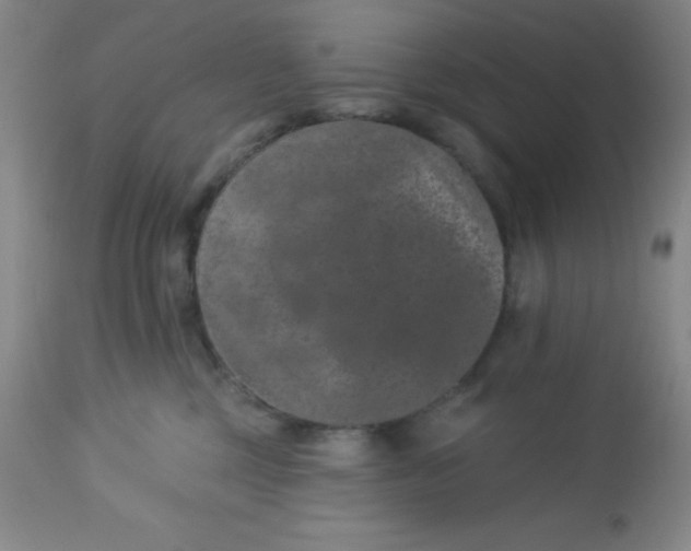 X0000113630377200910091601