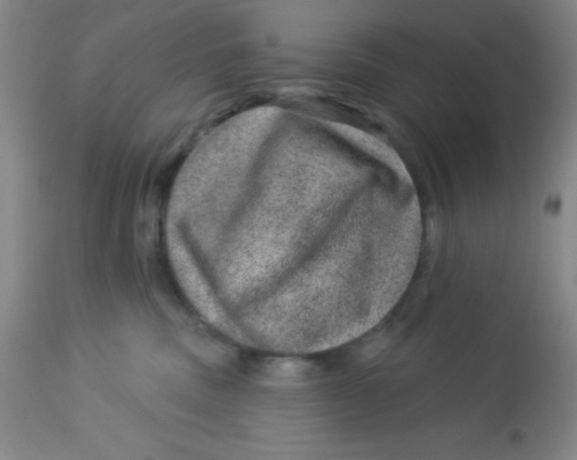 X0000113630379200910091601