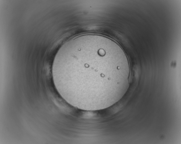 X0000113630380200910091601