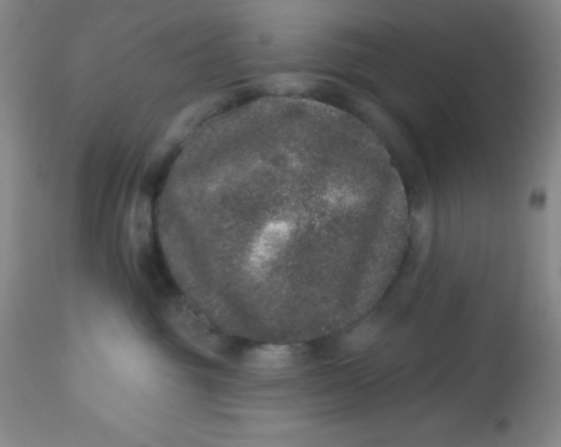 X0000113630381200910091601