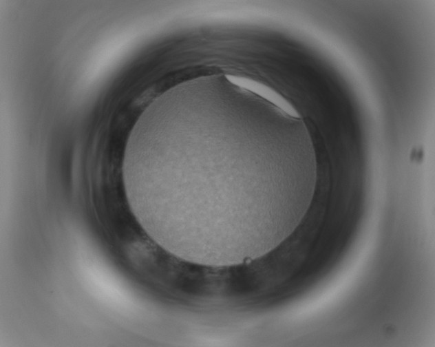 X0000113630382200910091601