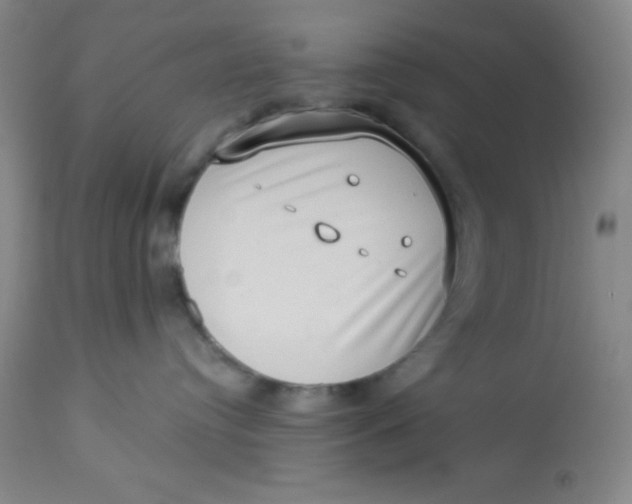 X0000113630384200910091601