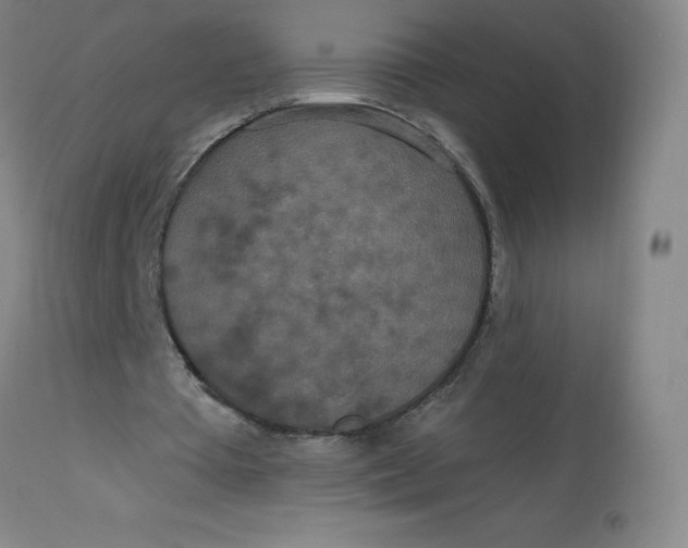 X0000113630385200910091601