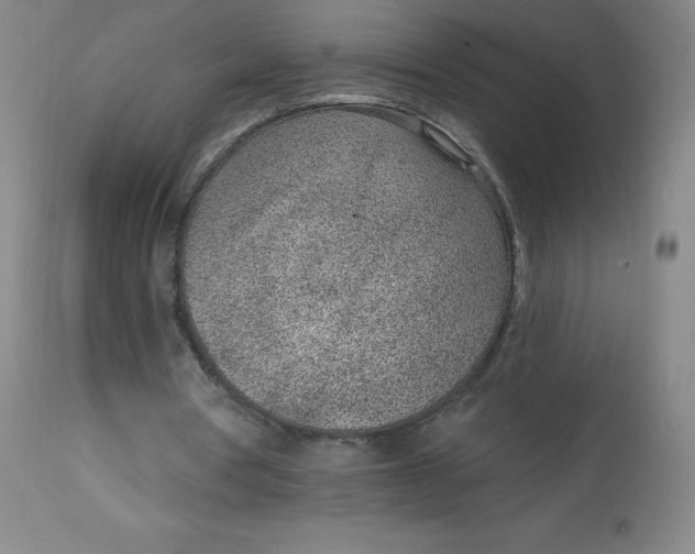 X0000113630386200910091601