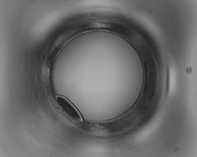 X0000113630387200910091600