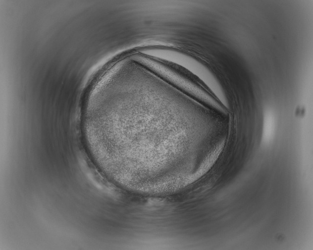 X0000113630388200910091600