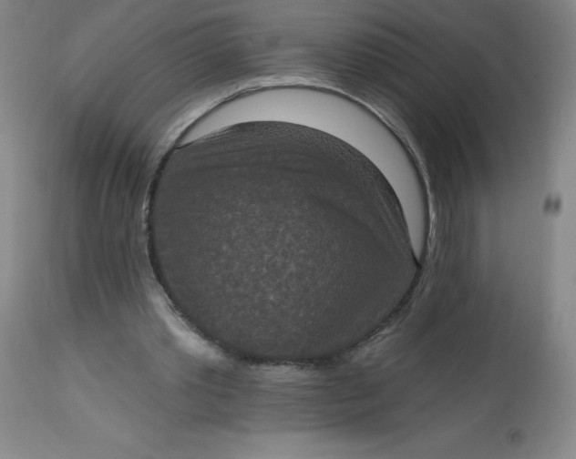 X0000113630389200910091600