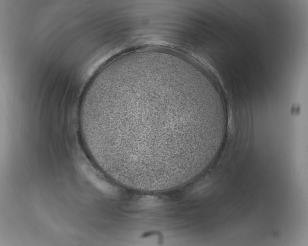 X0000113630390200910091600