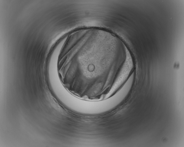 X0000113630391200910091600