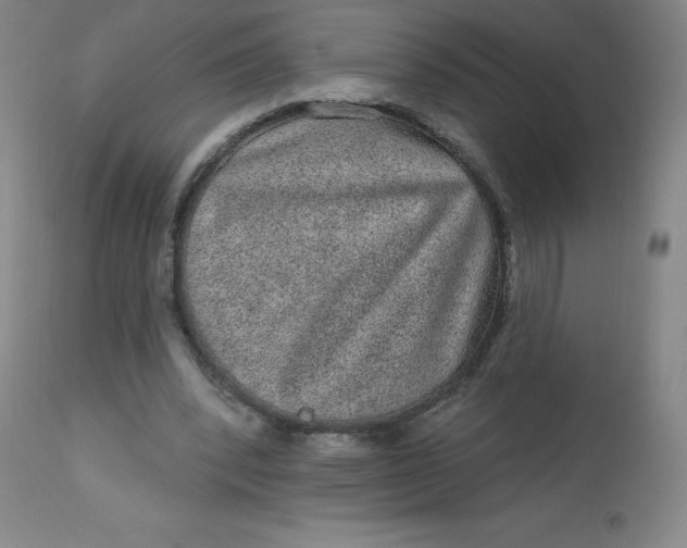 X0000113630392200910091600