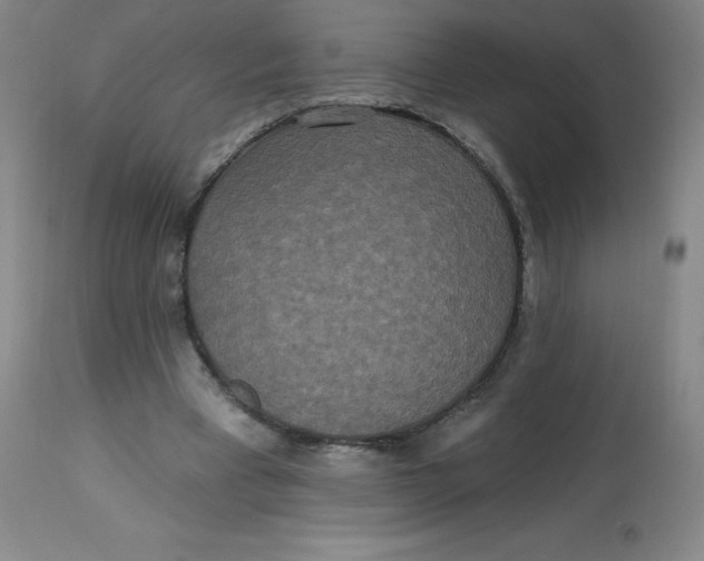 X0000113630393200910091600