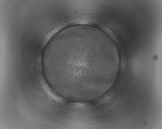 X0000113630394200910091600