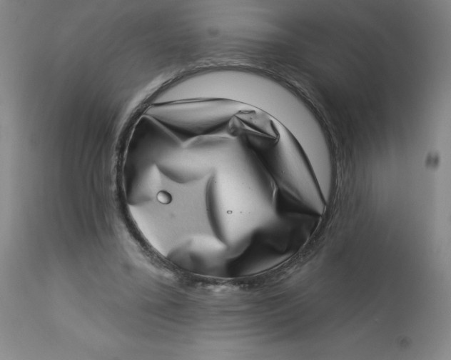 X0000113630395200910091600