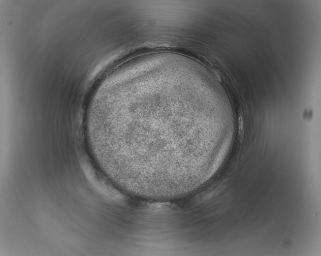 X0000113630396200910091600