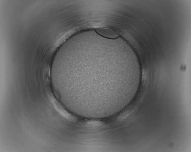 X0000113630397200910091600