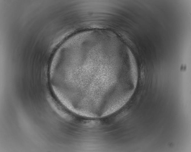 X0000113630398200910091600