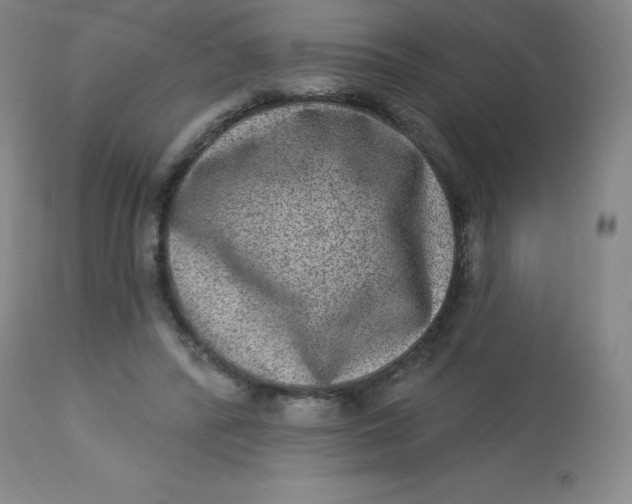 X0000113630400200910091600