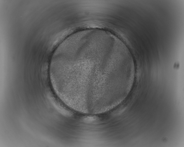 X0000113630402200910091600