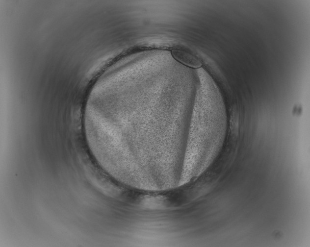 X0000113630403200910091600