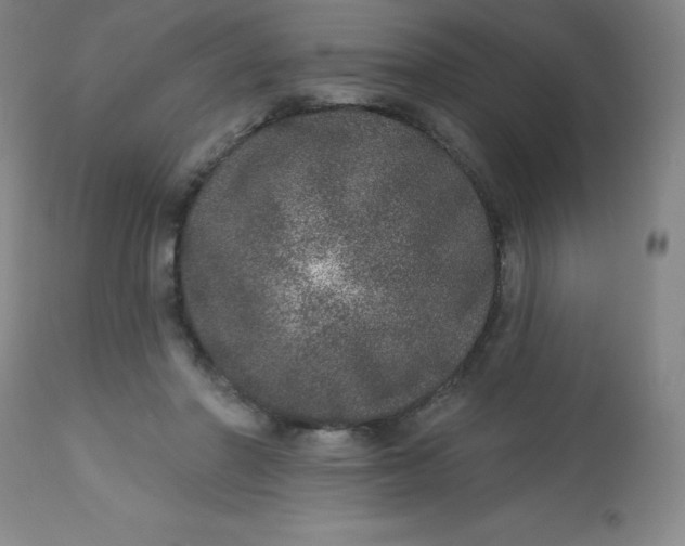 X0000113630406200910091600