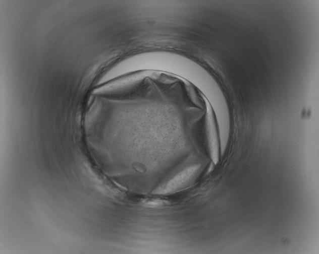 X0000113630407200910091600