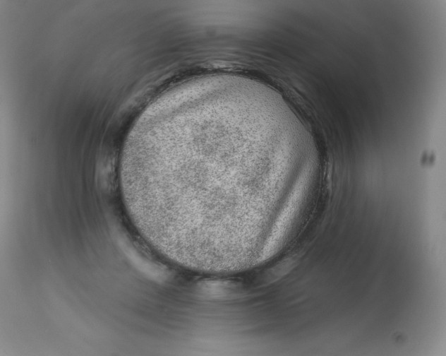 X0000113630408200910091600