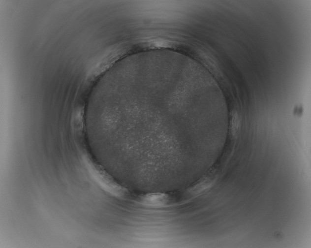 X0000113630410200910091600