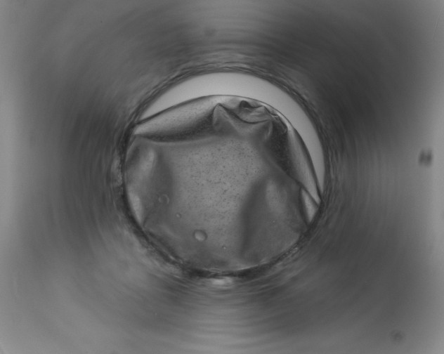 X0000113630411200910091600