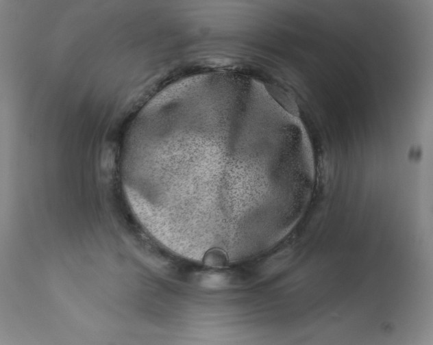 X0000113630412200910091600