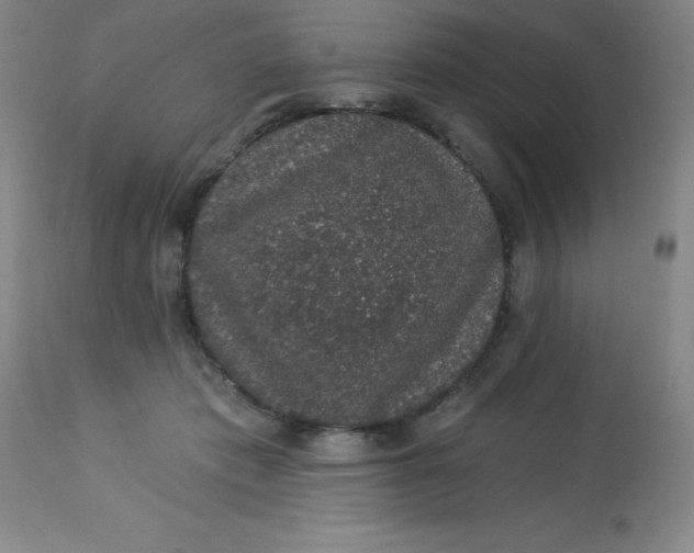 X0000113630413200910091600