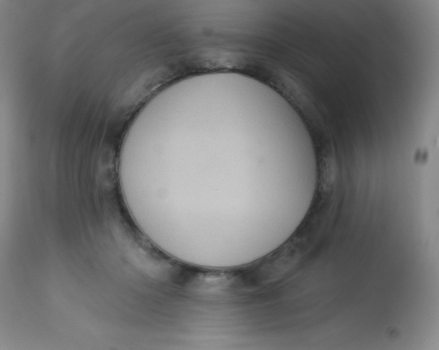 X0000113630414200910091600