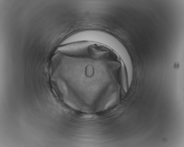 X0000113630415200910091600