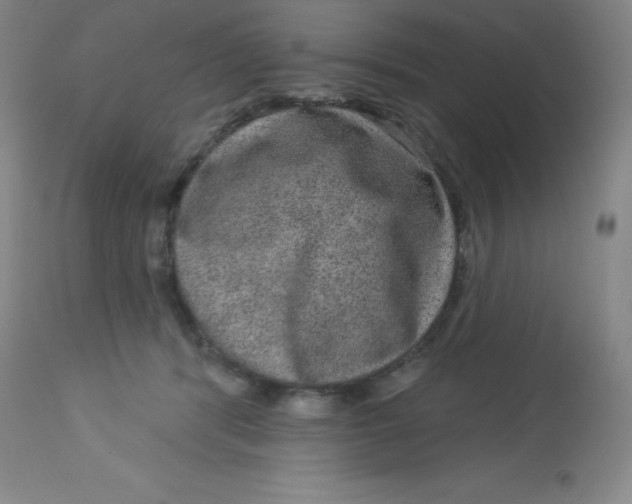 X0000113630416200910091600