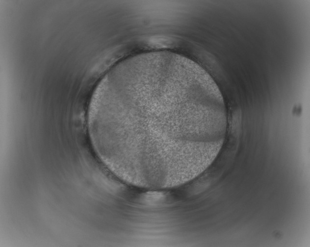 X0000113630418200910091600