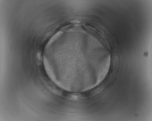 X0000113630420200910091600