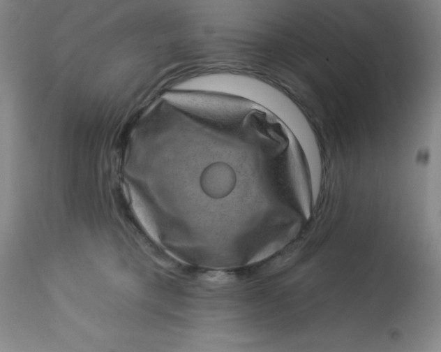 X0000113630421200910091600