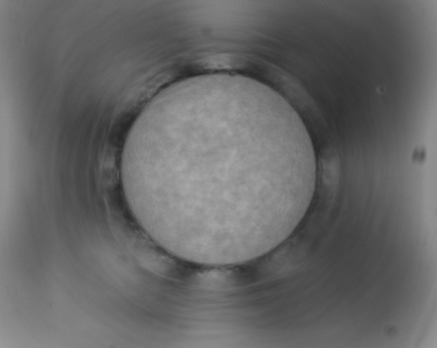 X0000113630422200910091600