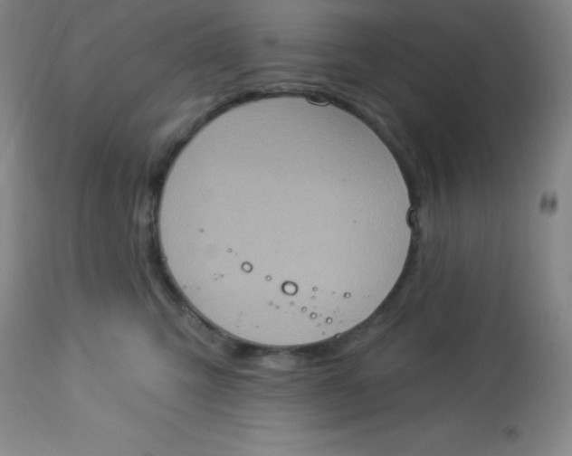 X0000113630423200910091600